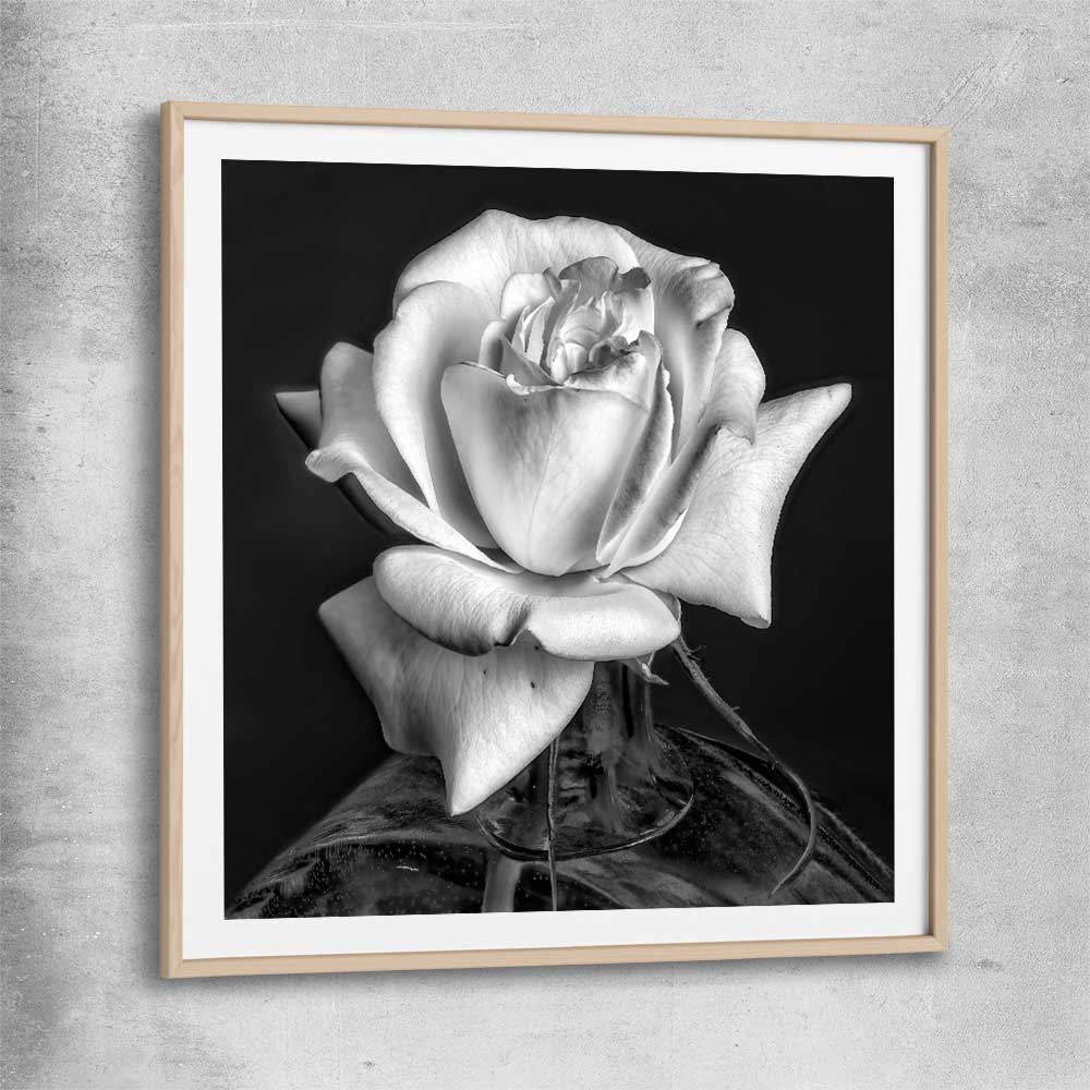 Floral print of Monochrome Rose with raw oak glass front frame