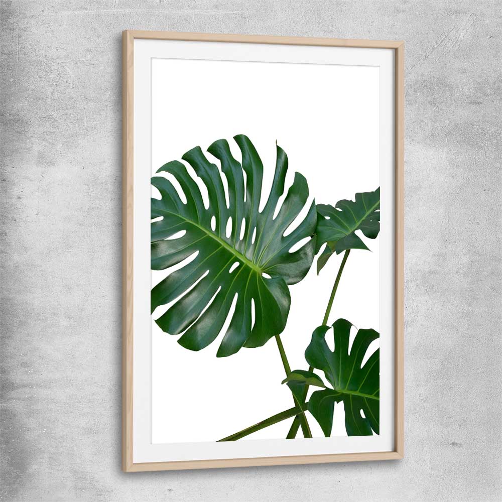Floral print of Monstera Leaf Two with raw oak glass front frame