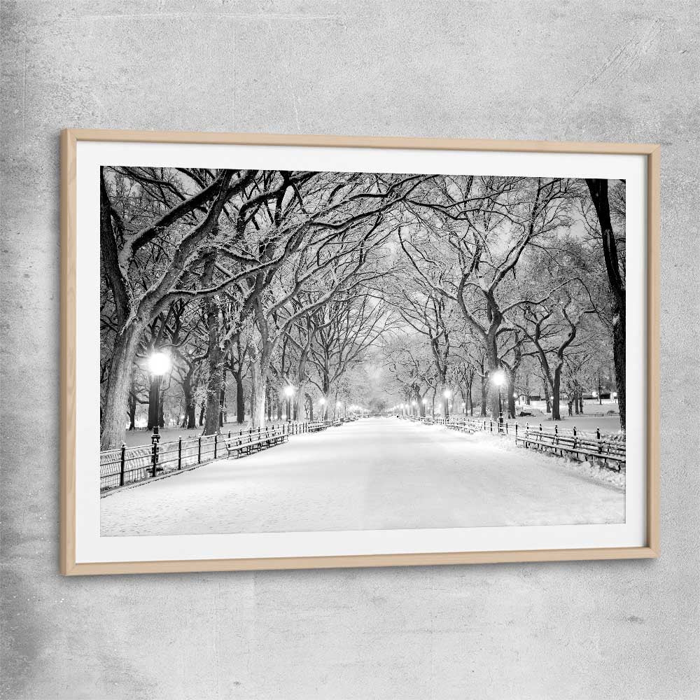 Floral print of Snowy Central Park with raw oak glass front frame