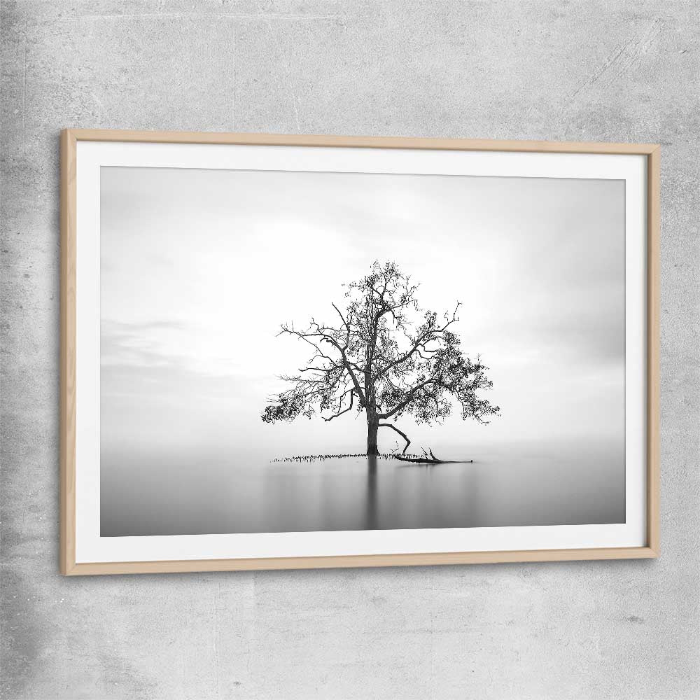 Floral print of Sole Mangrove with raw oak glass front frame