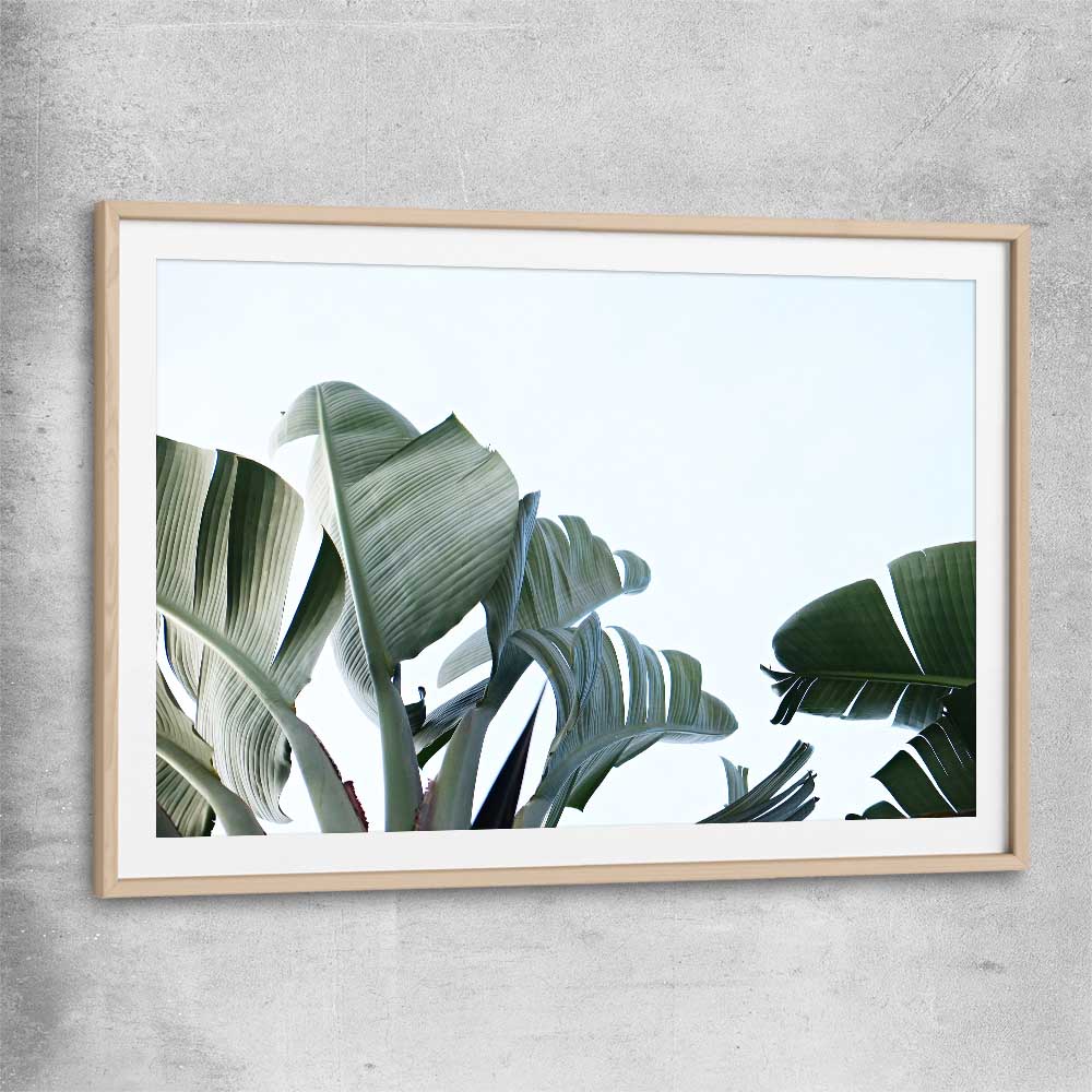 Floral print of Tropical Banana Palm with raw oak glass front frame
