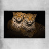 Animal wall art and canvas prints of Calm Jaguar Couple on a rolled print