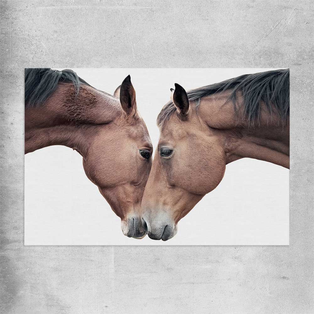 Animal wall art and canvas prints of Horse Affection on a rolled print