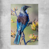Animal wall art and canvas prints of New Zealand Tui on a rolled print