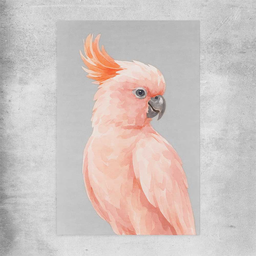 Animal wall art and canvas prints of Salmon-crested Cockatoo on a rolled print