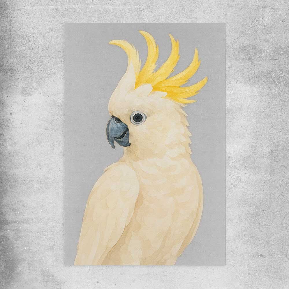 Animal wall art and canvas prints of Sulphur-crested Cockatoo on a rolled print
