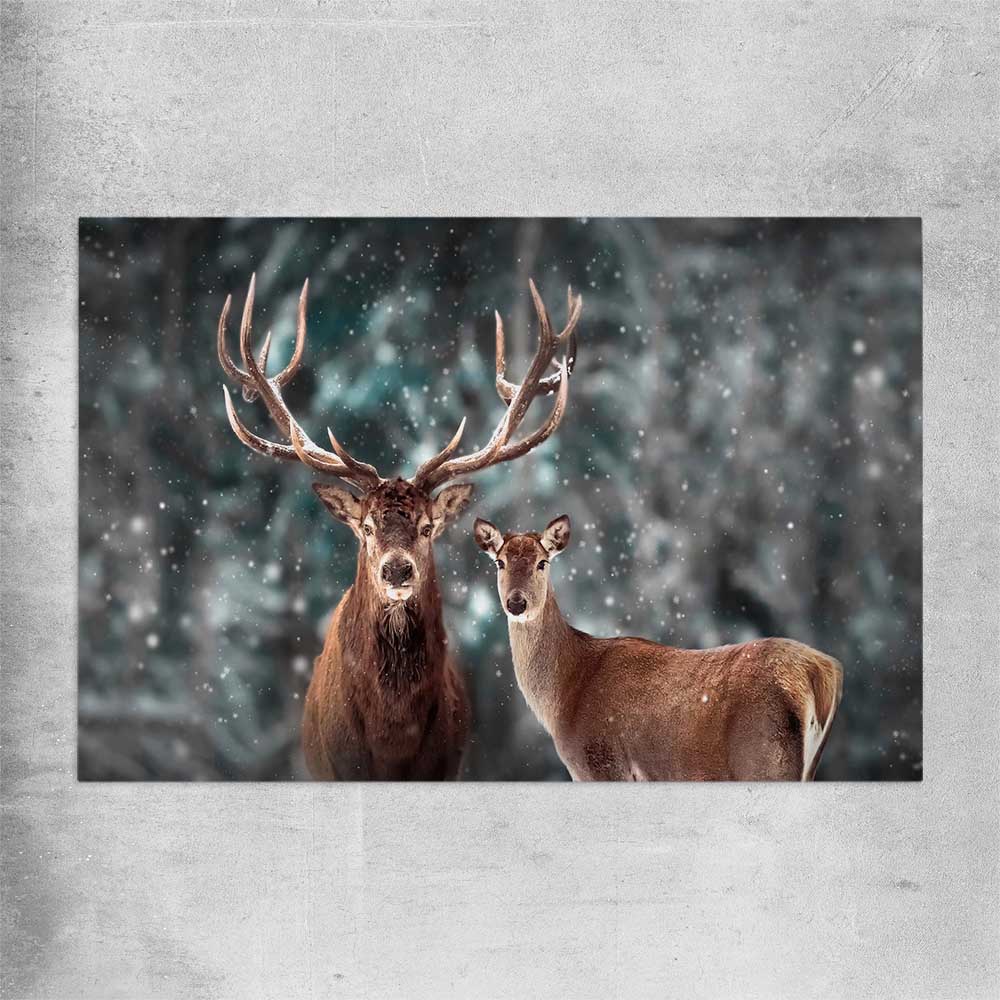 Animal wall art and canvas prints of Twin Highland Stags on a rolled print
