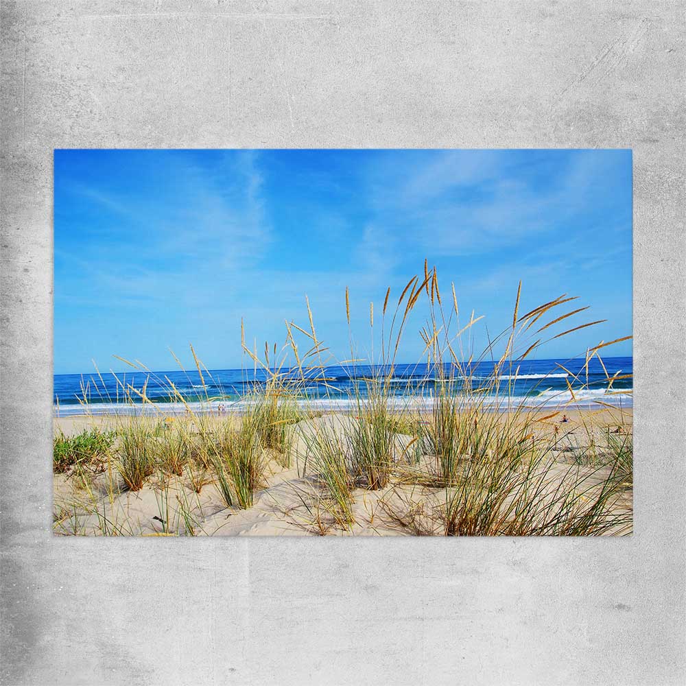 Beach and coastal wall art print of Algarve Dune Flora on a rolled print