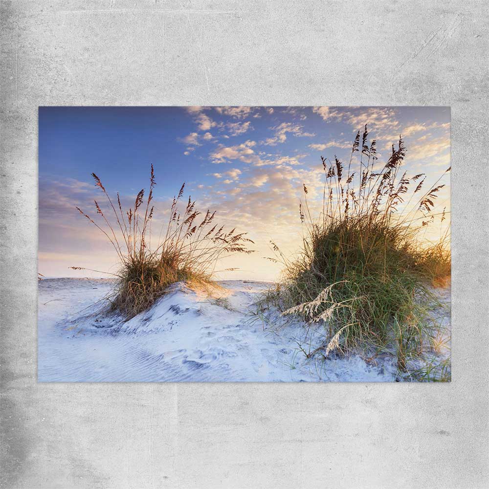 Beach and coastal wall art print of Coastal Sunrise on a rolled print