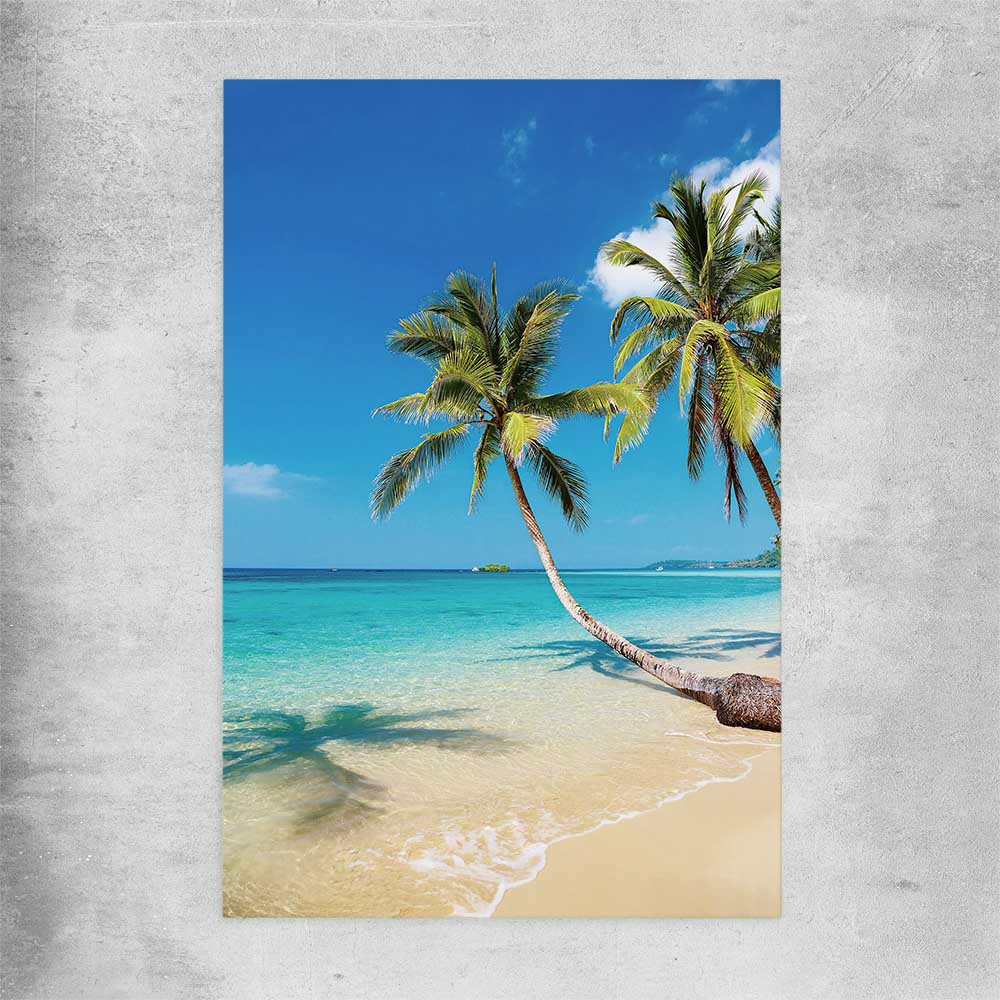 Beach and coastal wall art print of Paradise Palms on a rolled print