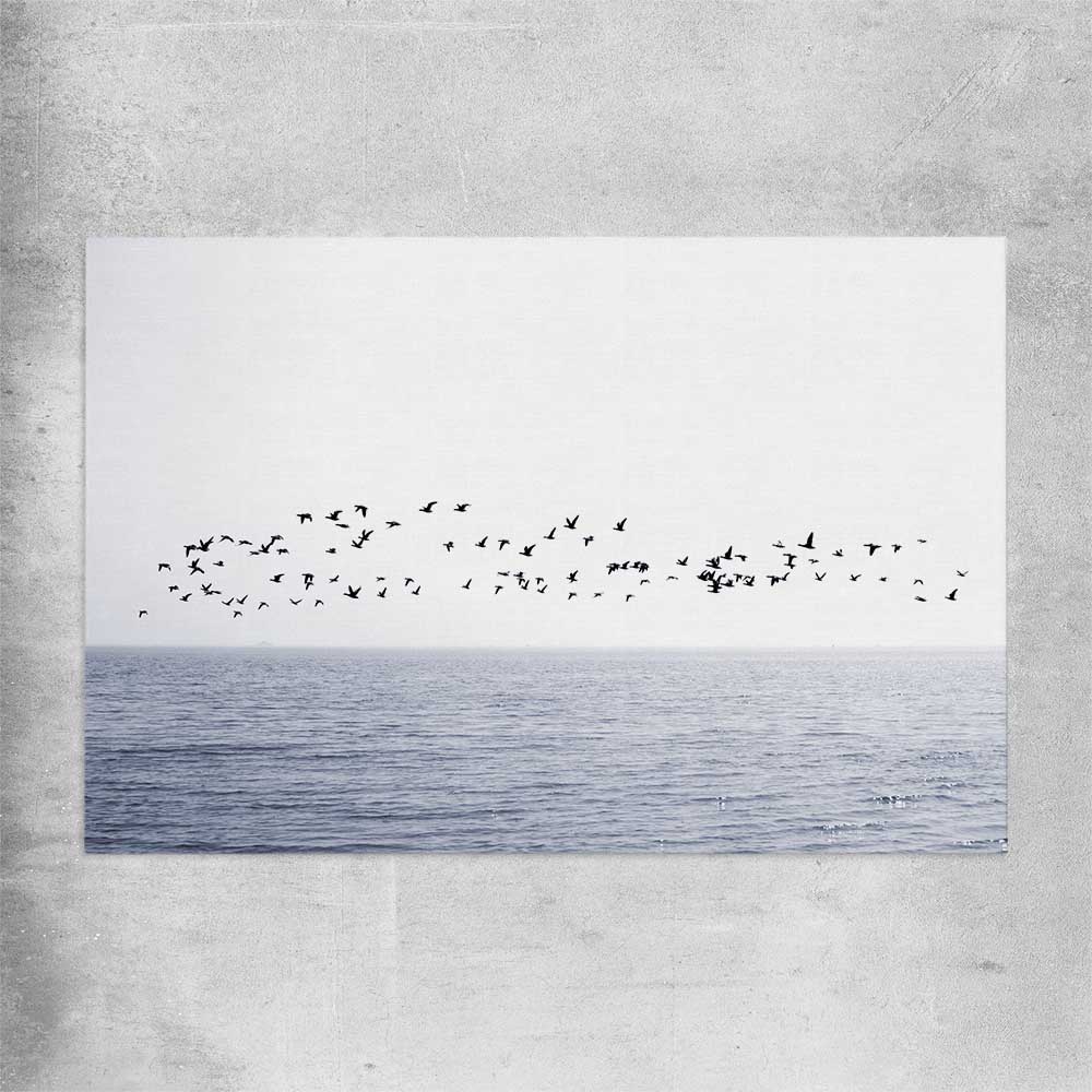 Beach and coastal wall art print of Seagull Flock on a rolled print