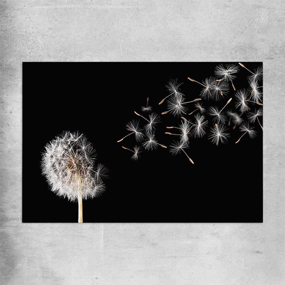 Floral print of Blowing Dandelion on a rolled print