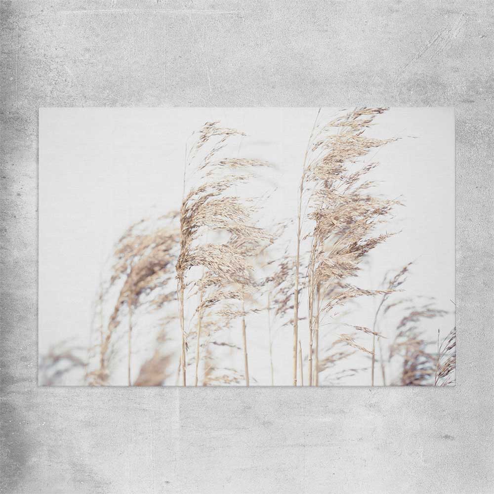 Floral print of Blowing Pampas on a rolled print