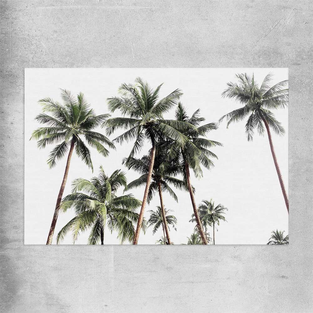 Floral print of Bright Palm Skies on a rolled print