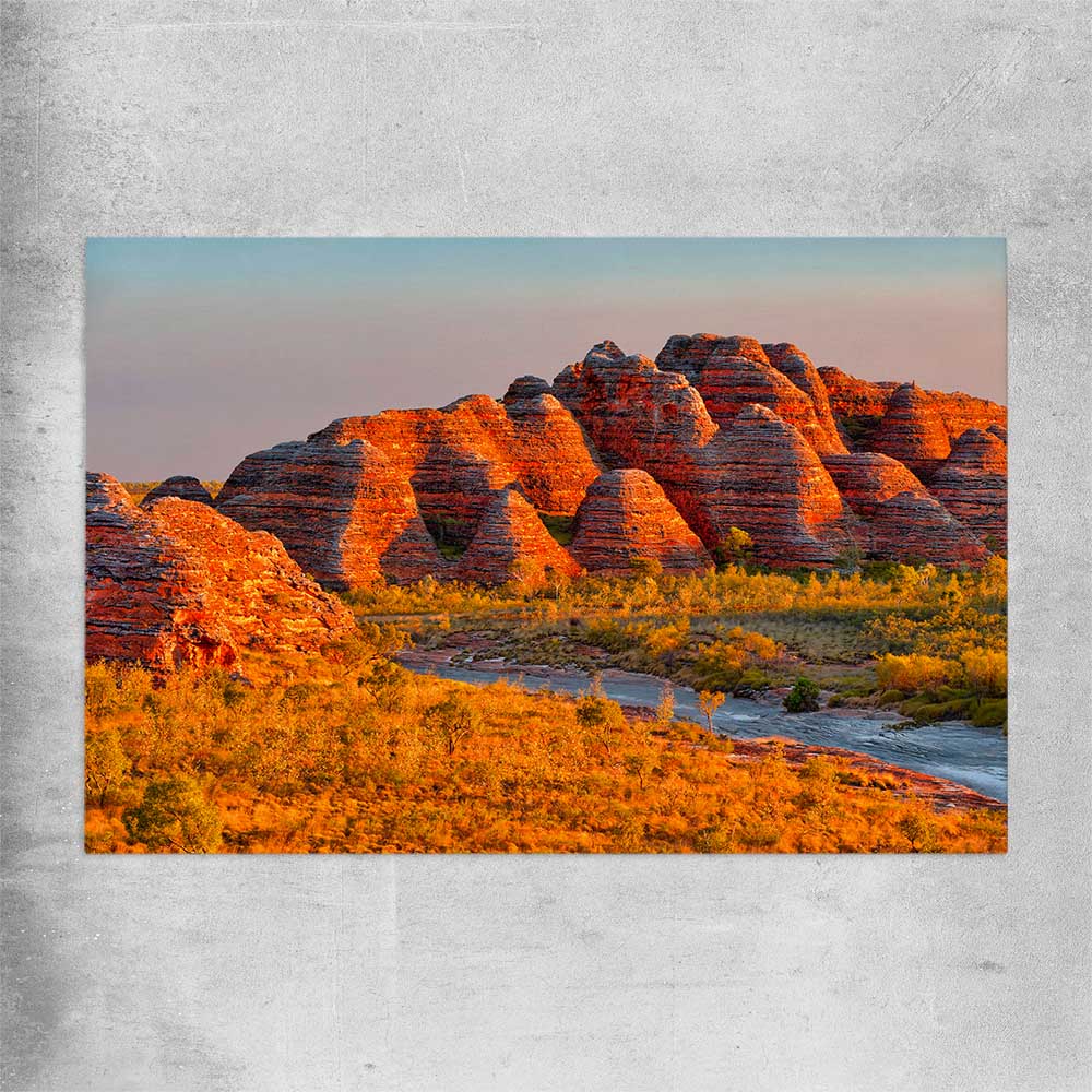 Floral print of Bungle Bungles on a rolled print