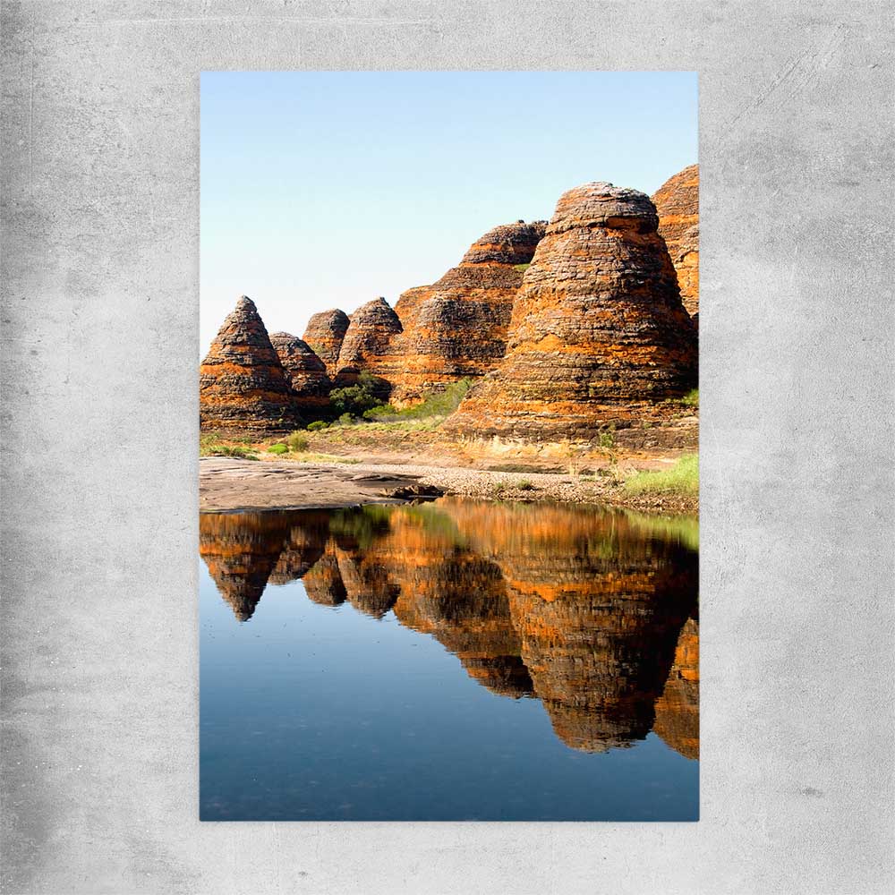 Floral print of Bungles Reflection on a rolled print
