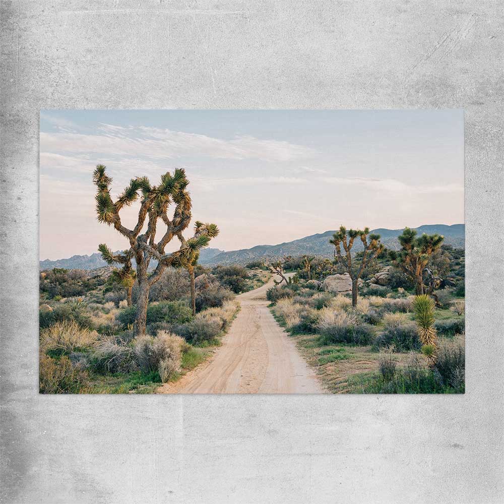 Floral print of California Desert on a rolled print