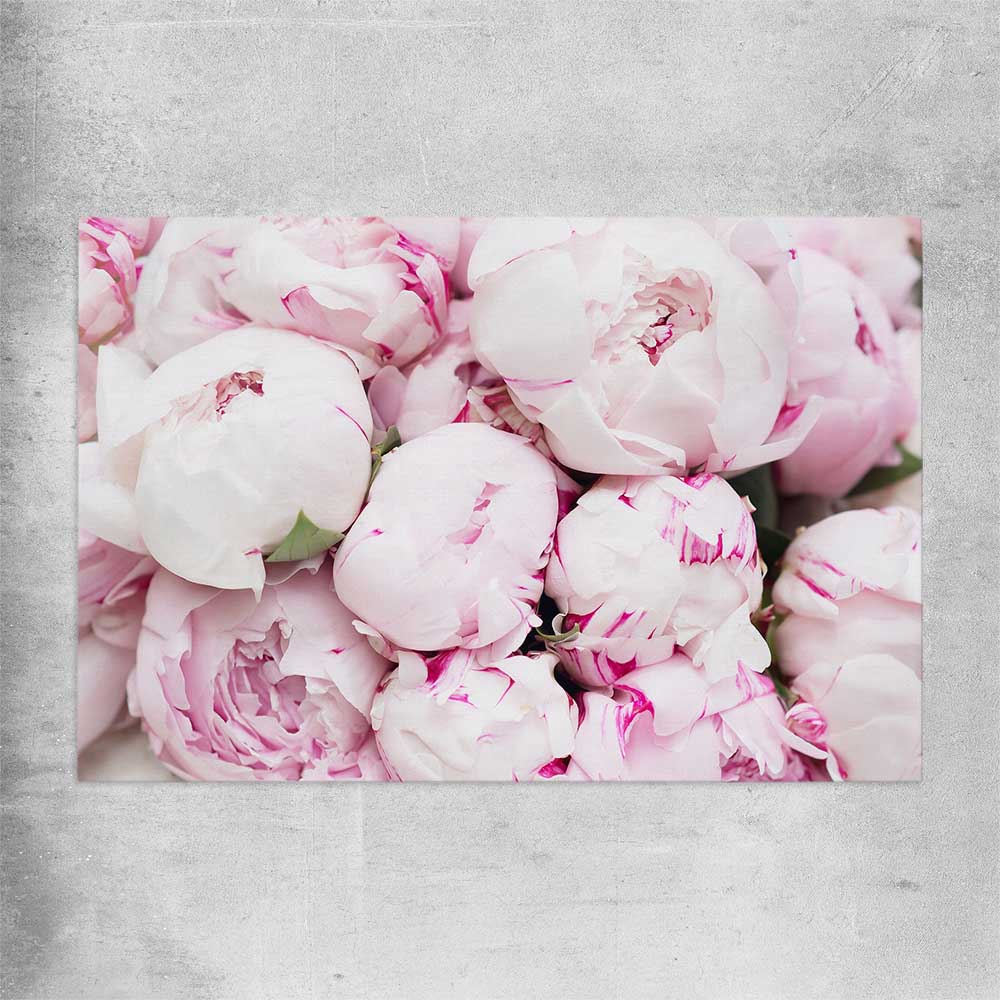 Floral print of Delicate Peonies on a rolled print