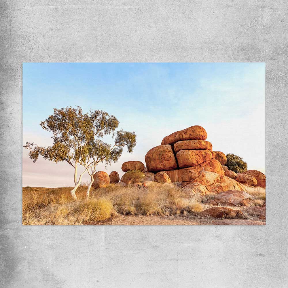 Floral print of Devils Marbles on a rolled print