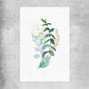 Floral print of Eucalyptus Bunch Three on a rolled print