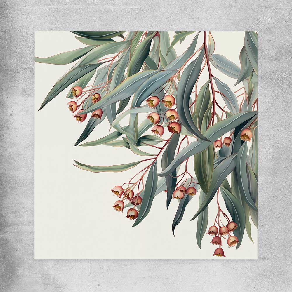 Floral print of Eucalyptus Illustration on a rolled print