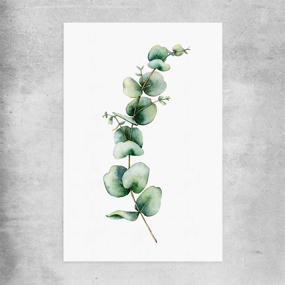 Floral print of Eucalyptus One on a rolled print