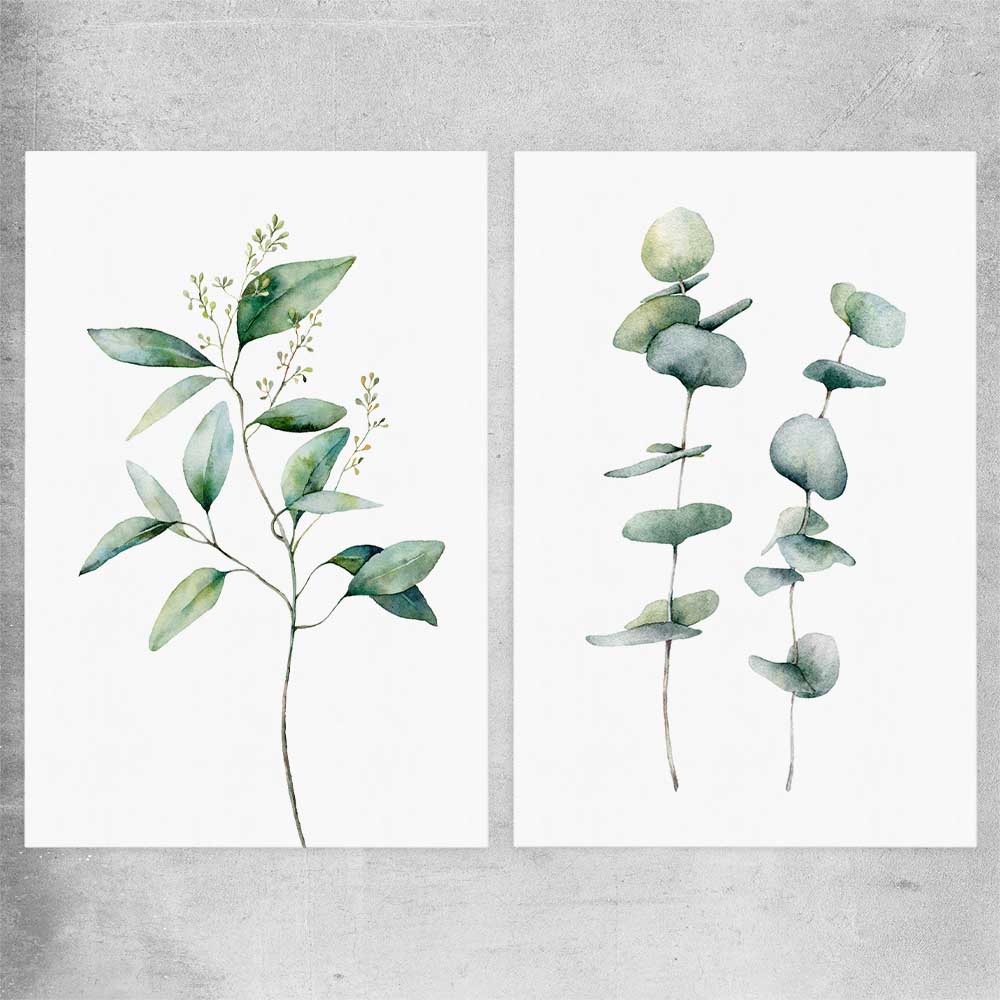 Floral print of Eucalyptus Pair One on a rolled print
