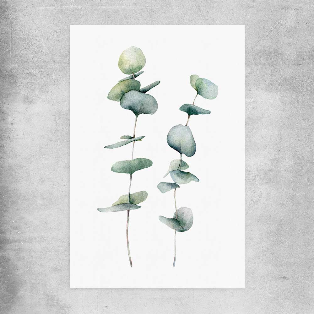 Floral print of Eucalyptus Three on a rolled print