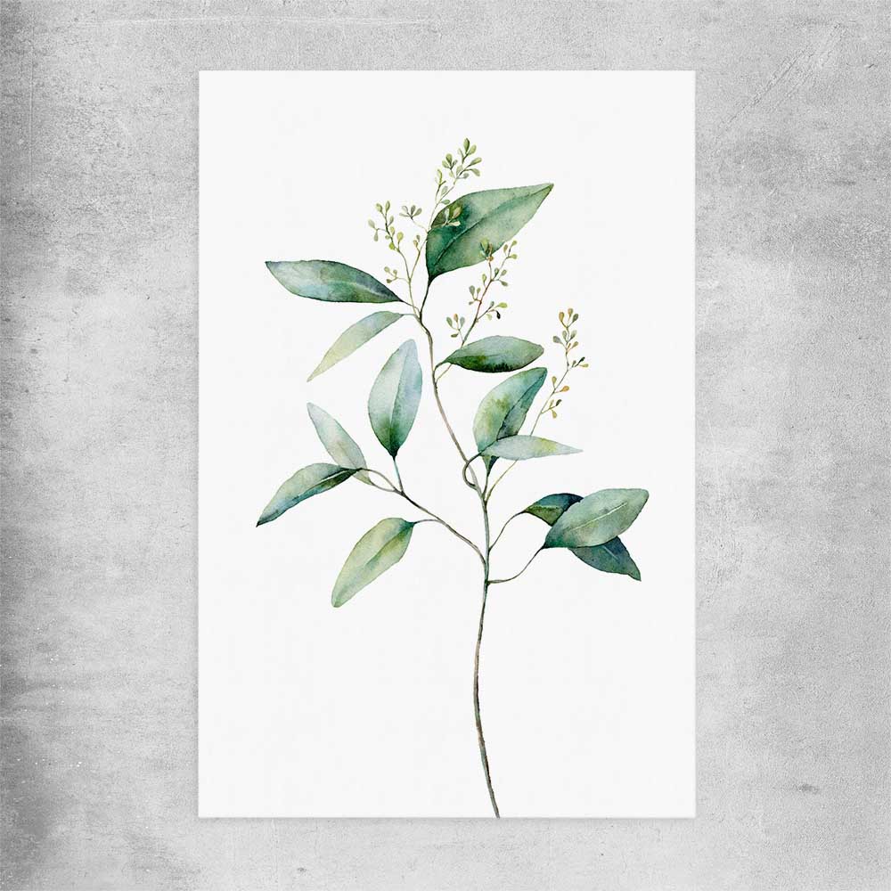 Floral print of Eucalyptus Two on a rolled print