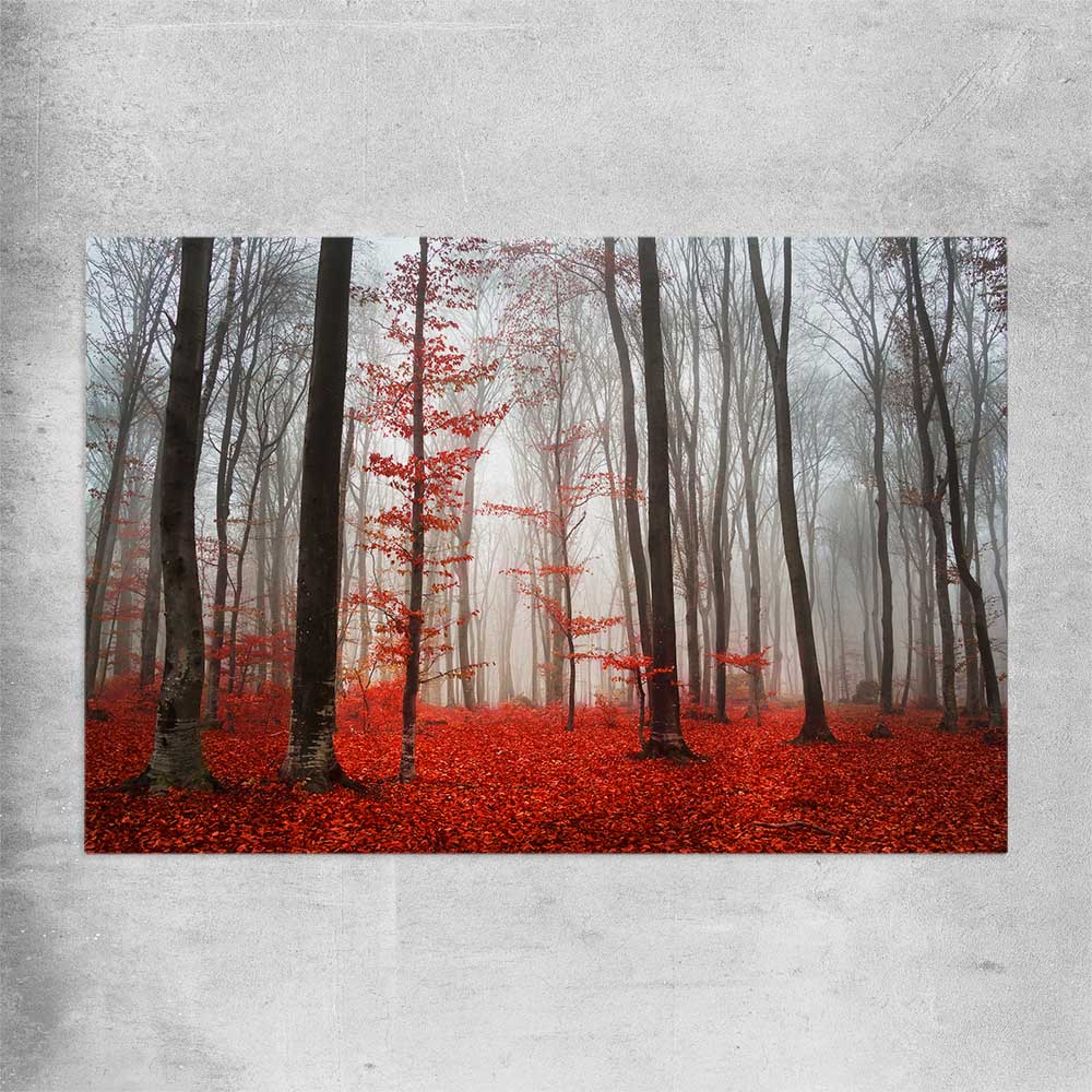 Floral print of Foggy Autumn Forest on a rolled print