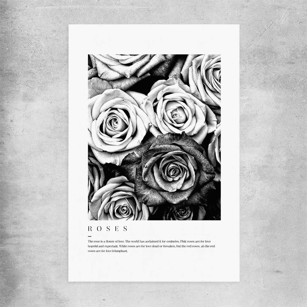 Floral print of Grey Flowers Typo on a rolled print
