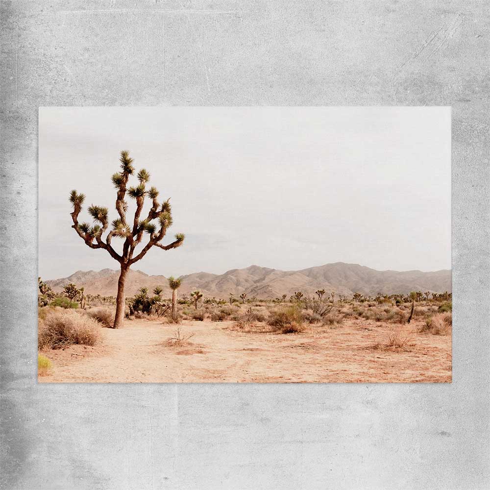 Floral print of Joshua Tree on a rolled print