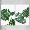 Floral print of Monstera Leaf Pair on a rolled print