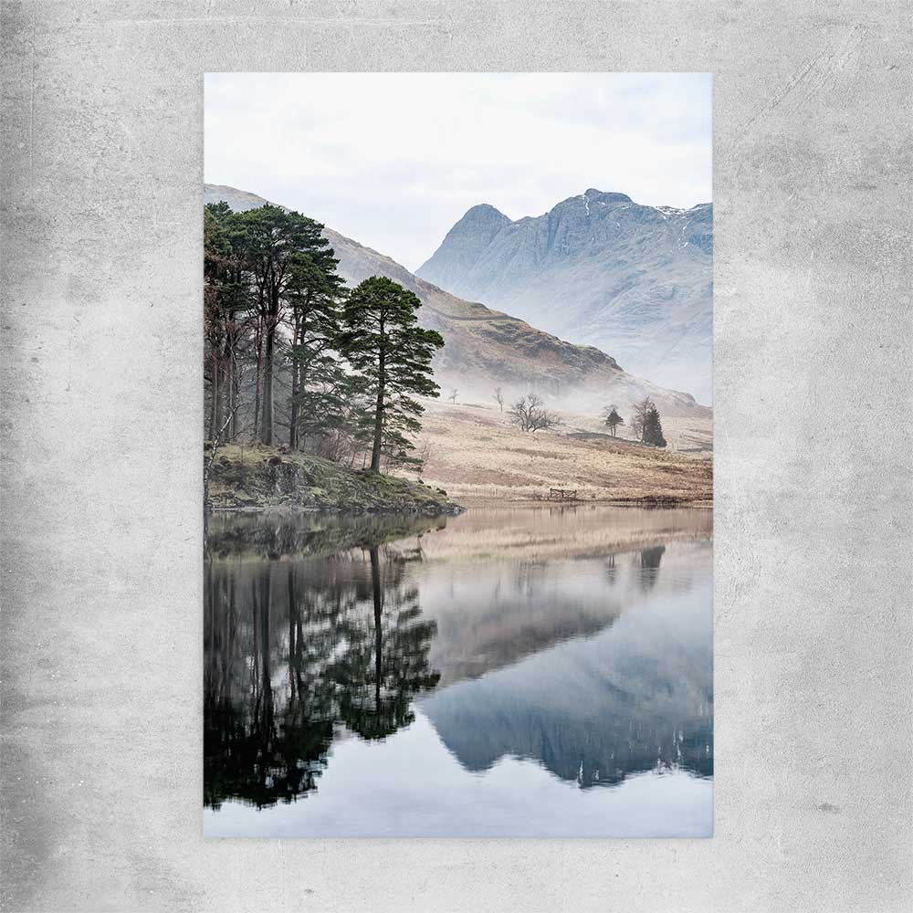 Floral print of Mountain Fog on a rolled print