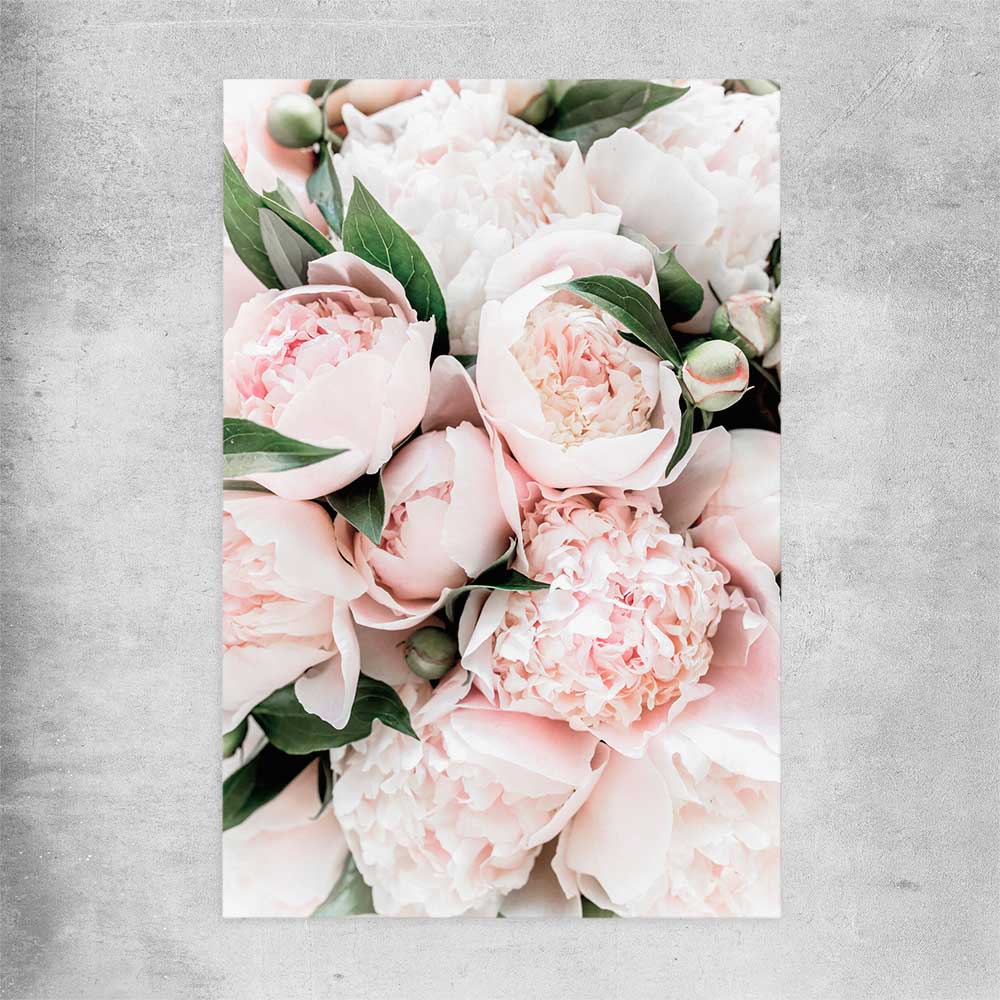 Floral print of Pink Peonies on a rolled print