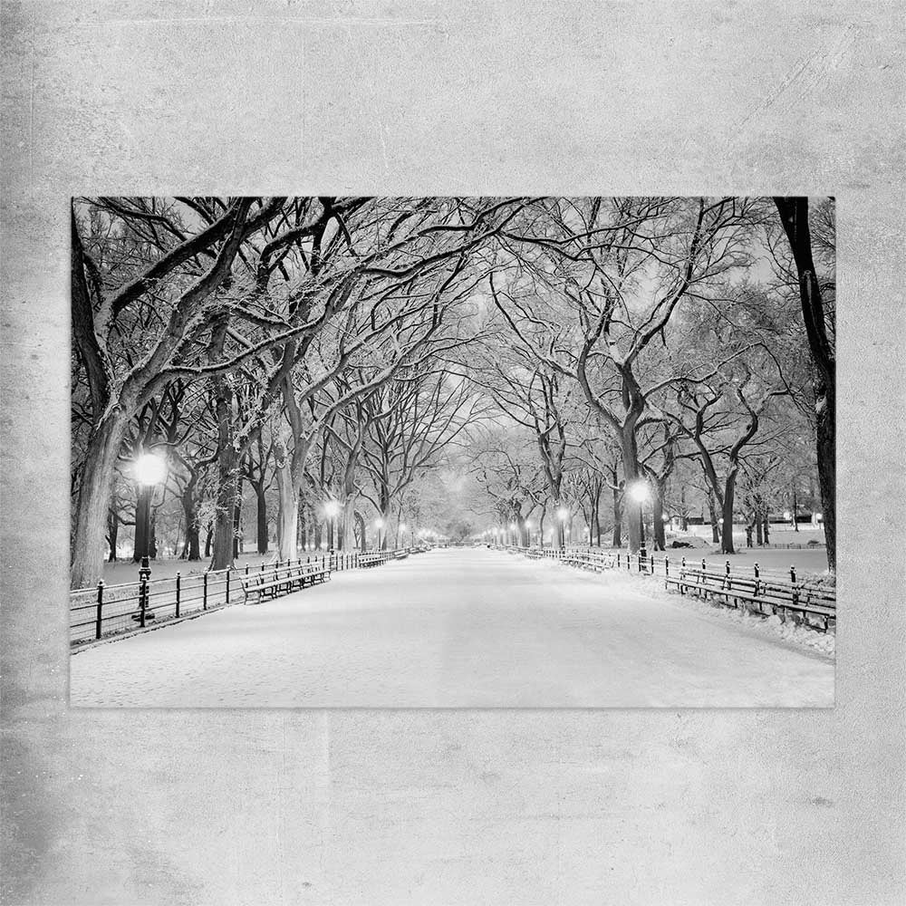 Floral print of Snowy Central Park on a rolled print