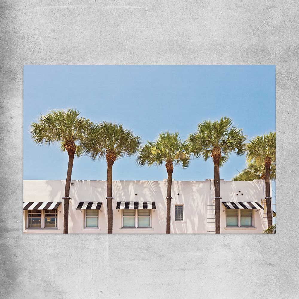 Floral print of South Miami Palms on a rolled print