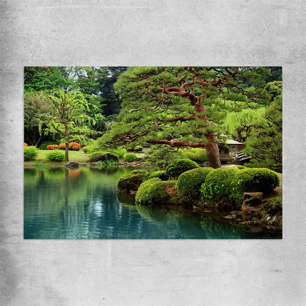 Floral print of Tokyo Bonsai Lake on a rolled print