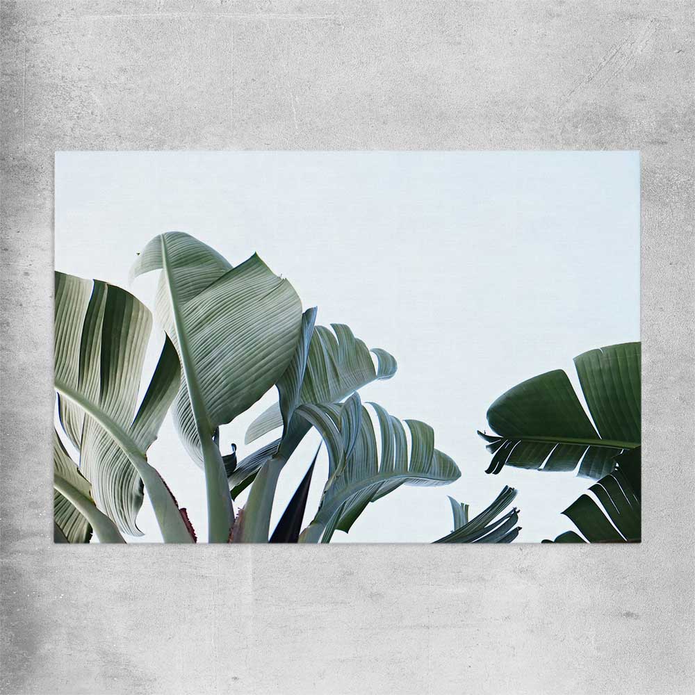 Floral print of Tropical Banana Palm on a rolled print