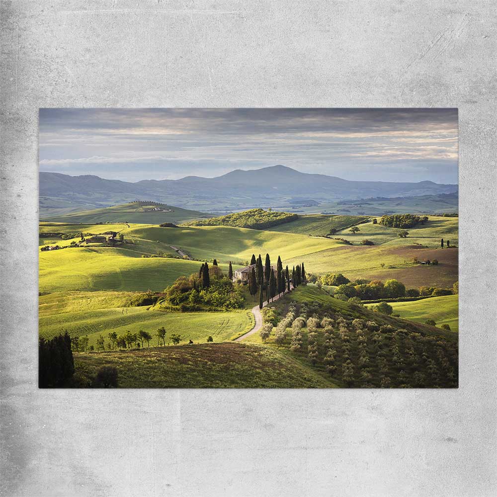 Floral print of Tuscan Countryside on a rolled print