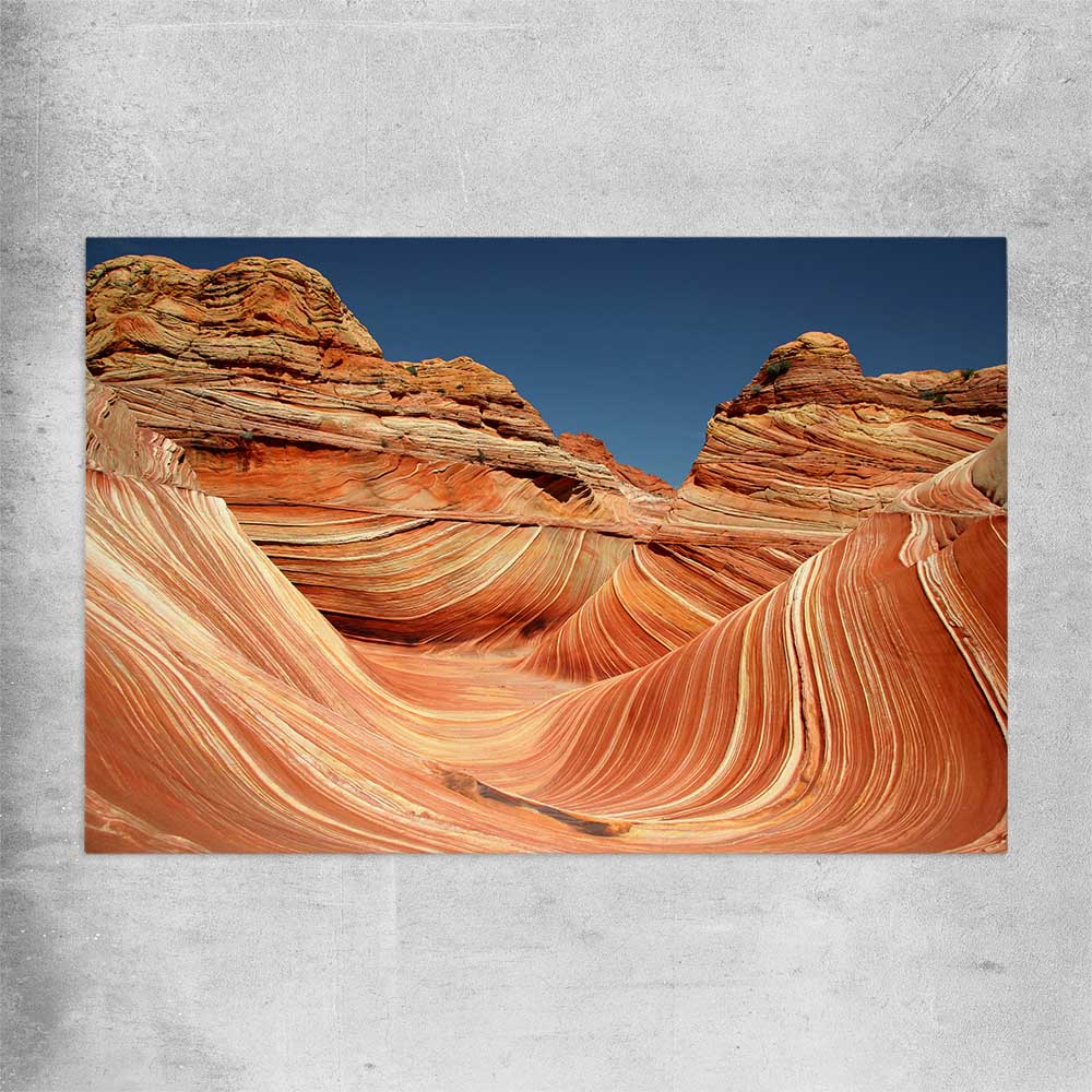 Floral print of Vermilion Cliffs on a rolled print