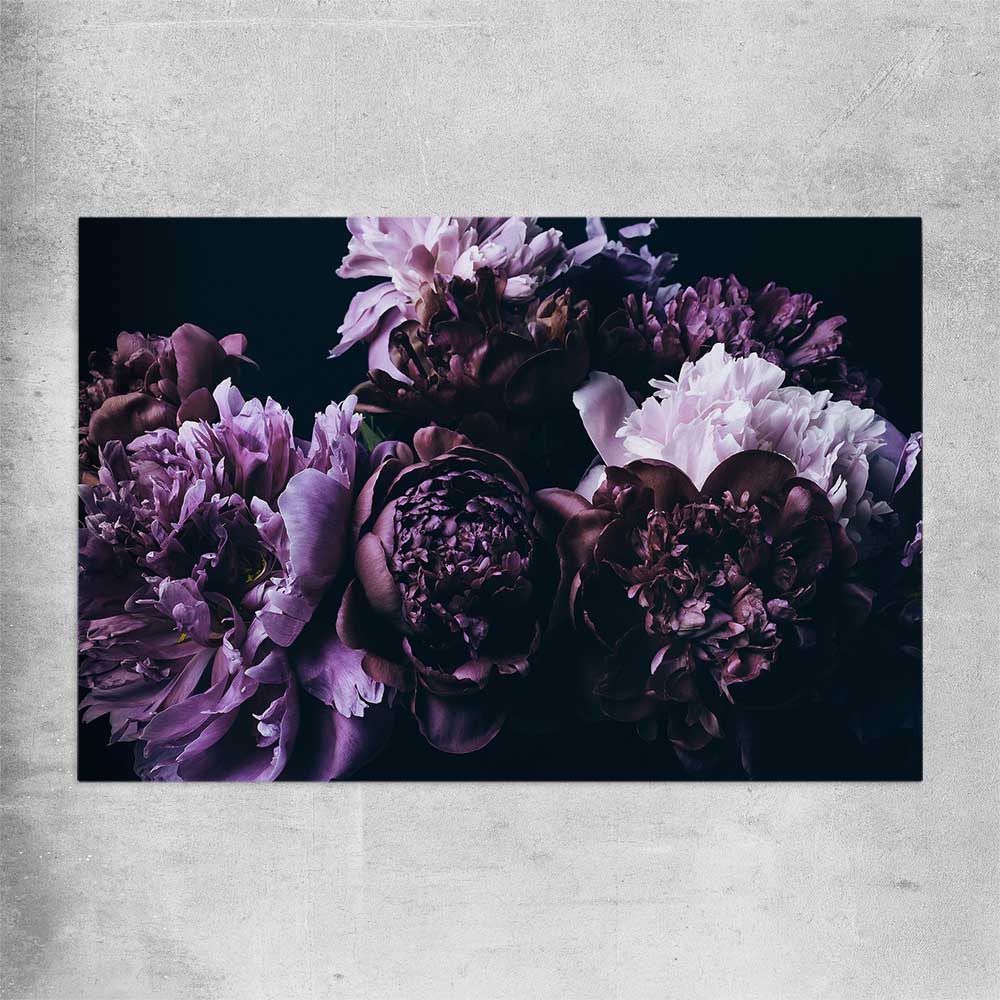 Floral print of Violet Peonies on a rolled print