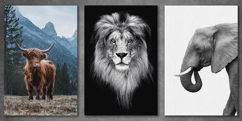 Collection list image for animal wall art