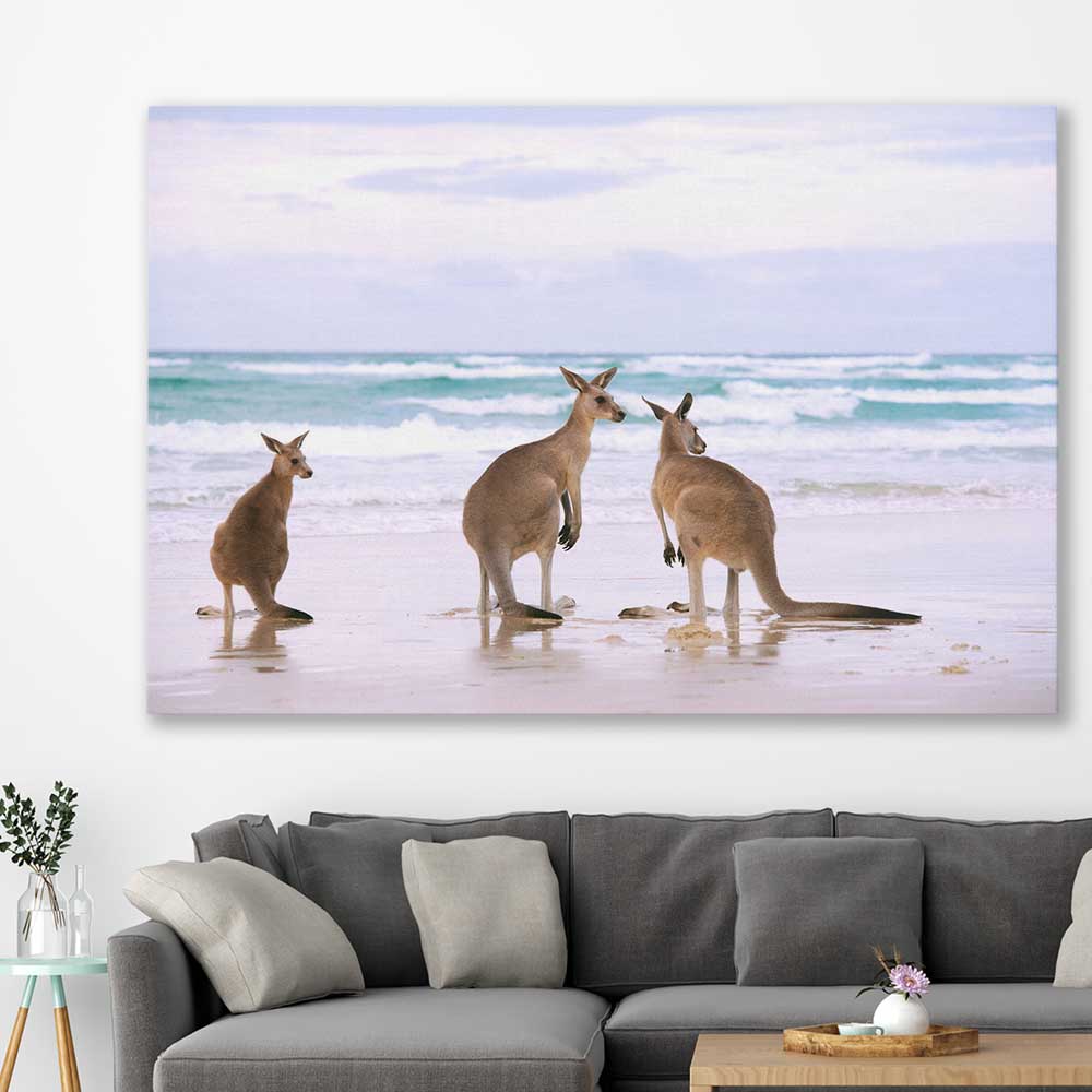 Kangaroo Wall Art