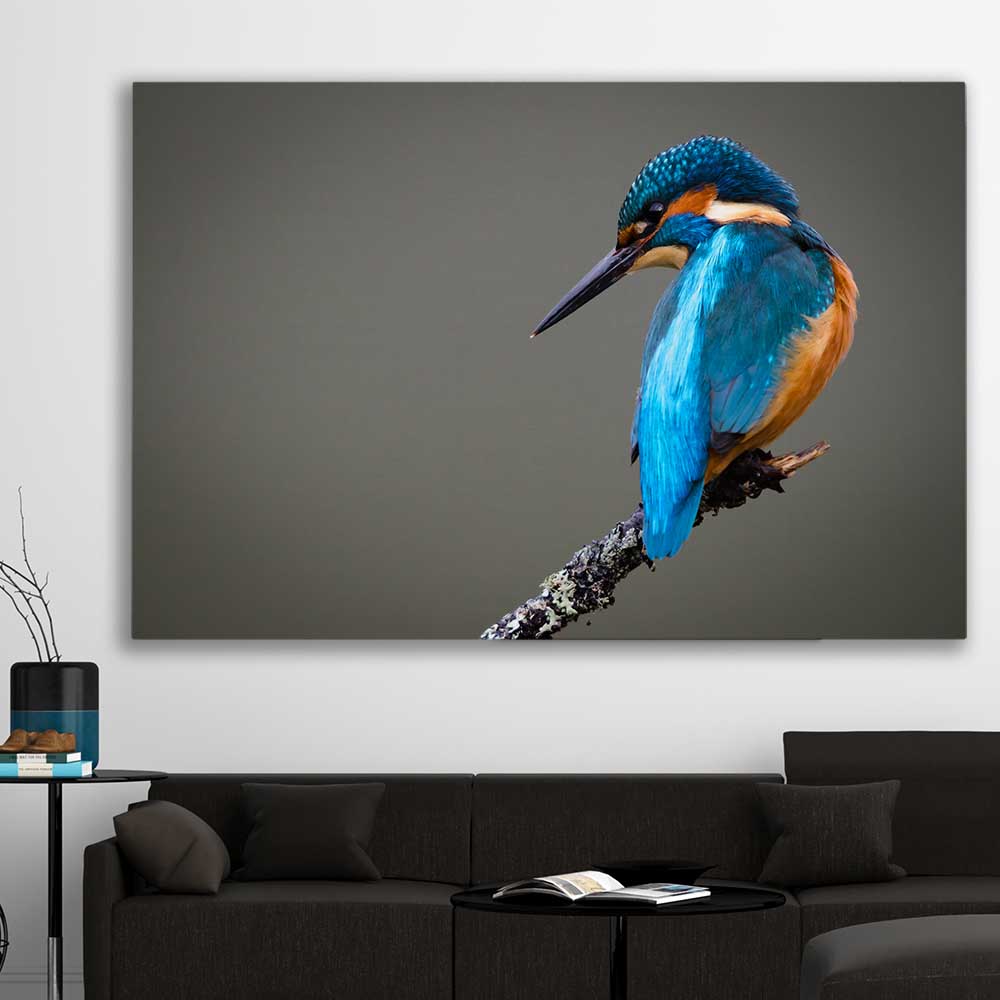 Bird Wall Art