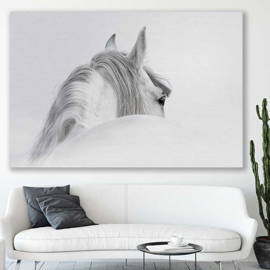 Animal wall art and canvas prints of Andalusian Horse on a stretched canvas displayed in a room