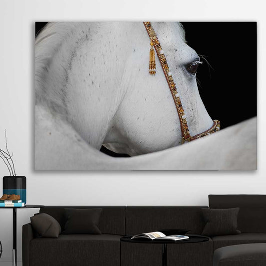 Animal wall art and canvas prints of Arabian Horse on a stretched canvas displayed in a room
