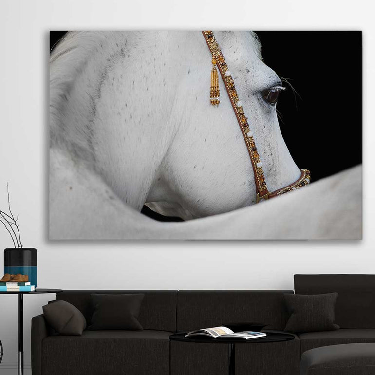 Animal wall art and canvas prints of Arabian Horse on a stretched canvas displayed in a room