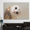 Animal wall art and canvas prints of Barn Owl Gaze on a stretched canvas displayed in a room