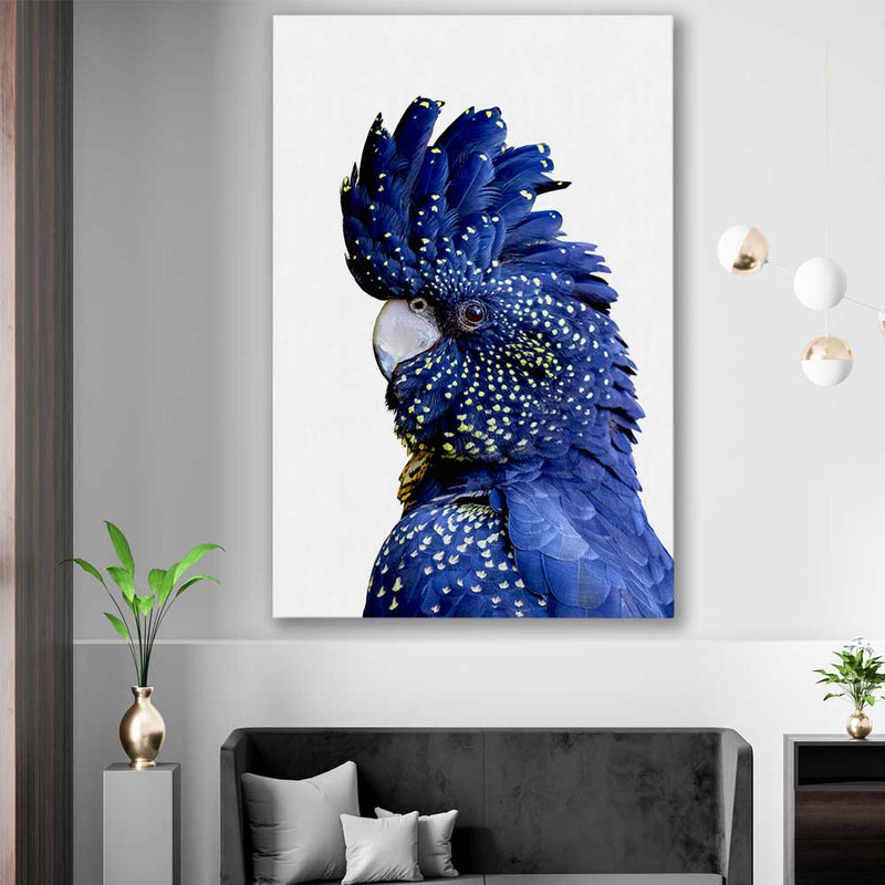 Animal wall art and canvas prints of Black Cockatoo One on a stretched canvas displayed in a roomcanvas in a styled room